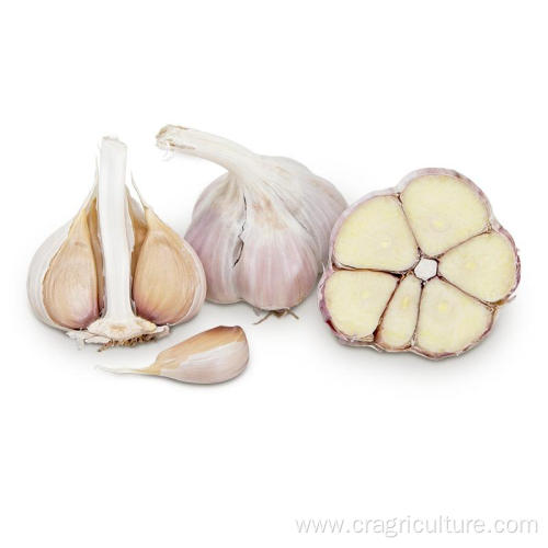 Factory Supply Hardneck Toch Garlic Vegetables